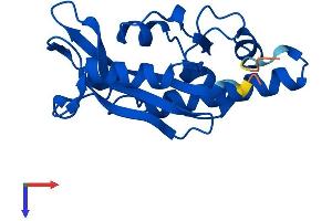 ISG20 Protein (AA 1-181) (His tag)