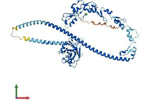 AlphaFold protein structure predicition of Human Recombinant TRAF3 Protein, UniprotID Q13114 (TRAF3 Protein (AA 1-568) (His tag))