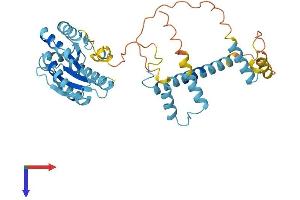 PSMD4/ASF Protein (AA 1-377) (His tag)