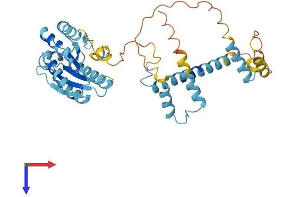 PSMD4/ASF Protein (AA 1-377) (His tag)