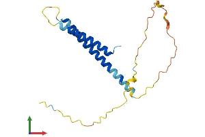 Protein Structure (PS) image for Chromosome 17 Open Reading Frame 49 (C17orf49) (AA 1-171) protein (His tag) (ABIN7561354)