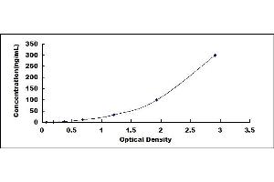 beta-2 Microglobulin ELISA Kit