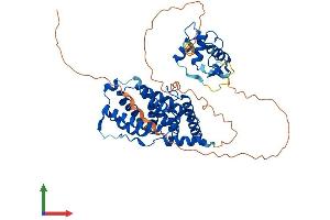 Protein Structure (PS) image for Nuclear Receptor Subfamily 6, Group A, Member 1 (NR6A1) (AA 1-495) protein (His tag) (ABIN7557818)