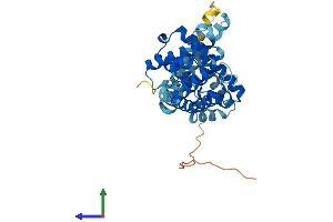 Protein Structure (PS) image for LETM1 Domain Containing 1 (LETMD1) (AA 1-360) protein (His tag) (ABIN7549082)