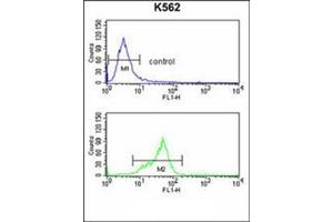 Flow cytometry analysis of K562 cells using GNAO1 Antibody (C-term) Cat. (G Protein alpha 0 (AA 299-328), (C-Term) Antikörper)