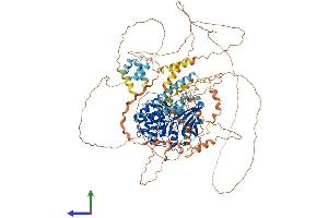 AlphaFold protein structure predicition of Mouse Recombinant Lats2 Protein, UniprotID Q7TSJ6 (LATS2 Protein (AA 1-1042) (His tag))