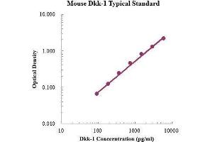 ELISA image for Dickkopf Homolog 1 (DKK1) ELISA Kit (ABIN3198422)