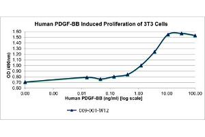 SDS-PAGE of Human Platelet Derived Growth Factor-BB Recombinant Protein Bioactivity of Human Platelet Derived Growth Factor-BB Recombinant Protein. (PDGF-BB Homodimer Protein)