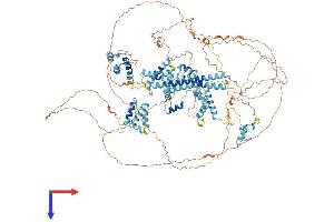 SFRS14 Protein (AA 1-1082) (His tag)