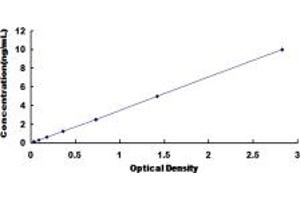 Typical standard curve (Claudin 3 ELISA Kit)