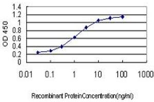 Detection limit for recombinant GST tagged AKT3 is approximately 0. (AKT3 Antikörper  (AA 100-189))