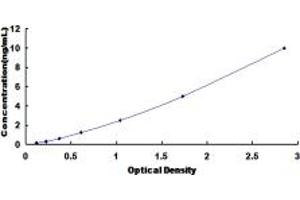 Cyclin A1 ELISA Kit