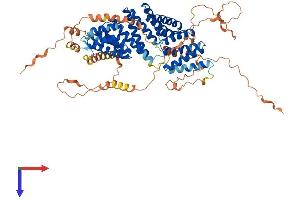 GPSM1 Protein (AA 1-673) (His tag)