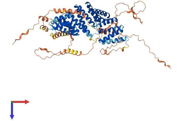 GPSM1 Protein (AA 1-673) (His tag)