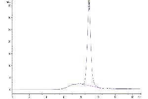 Size-exclusion chromatography-High Pressure Liquid Chromatography (SEC-HPLC) image for Kringle Containing Transmembrane Protein 2 (KREMEN2) (AA 26-364) protein (His tag) (ABIN7275106)