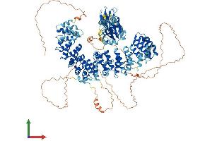 Protein Structure (PS) image for Adaptor-Related Protein Complex 3, beta 1 Subunit (AP3B1) (AA 1-1105) protein (His tag) (ABIN7565283)