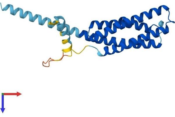 TMEM17 Protein (AA 1-198) (His tag)
