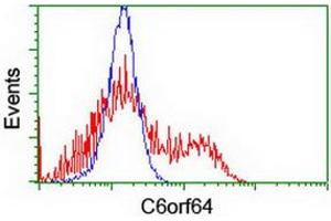 HEK293T cells transfected with either RC205273 overexpress plasmid (Red) or empty vector control plasmid (Blue) were immunostained by anti-C6orf64 antibody (ABIN2455752), and then analyzed by flow cytometry. (SAYSD1 Antikörper)