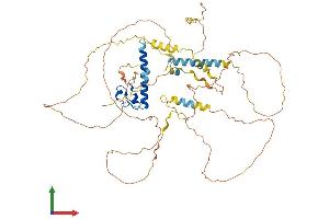 Protein Structure (PS) image for Doublesex and Mab-3 Related Transcription Factor 2 (DMRT2) (AA 1-561) protein (His tag) (ABIN7553713)