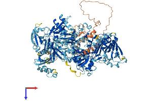 AlphaFold protein structure predicition of Mouse Recombinant Cfap61 Protein, UniprotID Q8CEL2