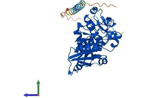 Protein Structure (PS) image for Fucosyltransferase 2 (Secretor Status Included) (FUT2) (AA 1-343) protein (His tag) (ABIN7547811)