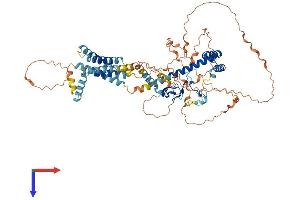 TMEM201 Protein (AA 1-666) (His tag)