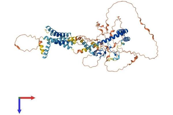TMEM201 Protein (AA 1-666) (His tag)