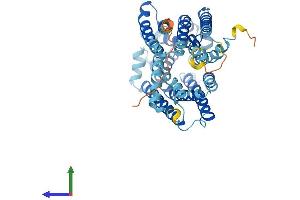 Protein Structure (PS) image for Ankylosis, Progressive Homolog (Mouse) (ANKH) (AA 1-492) protein (His tag) (ABIN7561526)