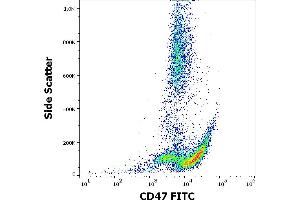 Flow cytometry surface staining pattern of human peripheral whole blood stained using anti-human CD47 (MEM-122) FITC antibody (20 μL reagent / 100 μL of peripheral whole blood).