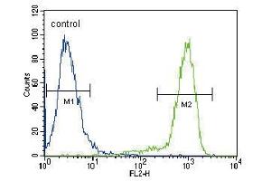 TRKA Antibody (Center) (ABIN392063 and ABIN2841826) flow cytometric analysis of Hela cells (right histogram) compared to a negative control cell (left histogram). (TRKA Antikörper  (AA 654-683))