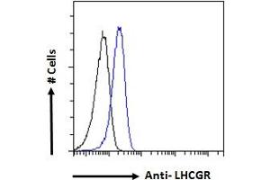 ABIN190901 Flow cytometric analysis of paraformaldehyde fixed Jurkat cells (blue line), permeabilized with 0. (LHCGR Antikörper  (C-Term))
