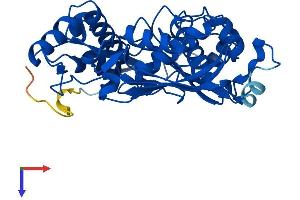 MAT2A Protein (AA 1-395) (His tag)