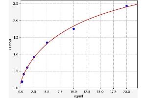 Typical standard curve (ERAP1 ELISA Kit)