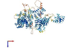 NLR Family, Pyrin Domain Containing 1B (NLRP1B) (AA 1-1172) protein (His tag)