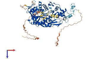 TRMT1 Protein (AA 1-663) (His tag)