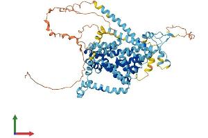Protein Structure (PS) image for Solute Carrier Family 34 (Type II Sodium/phosphate Contransporter), Member 1 (SLC34A1) (AA 1-639) protein (His tag) (ABIN7549920)