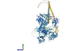 Protein Structure (PS) image for Myomesin 2 (MYOM2) (AA 1-1465) protein (His tag) (ABIN7554649)