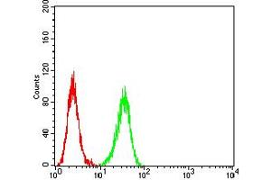Flow Cytometry (FACS) image for anti-ATG5 Autophagy Related 5 (ATG5) (AA 144-275) antibody (ABIN5611293)