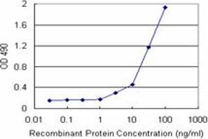 Sandwich ELISA detection sensitivity ranging from 3 ng/mL to 100 ng/mL. (EEF1G (Human) Matched Antibody Pair)