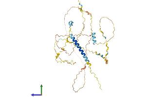 AlphaFold protein structure predicition of Human Recombinant C11orf96 Protein, UniprotID Q7Z7L8
