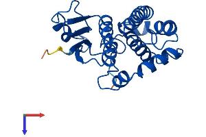 GSTM3 Protein (AA 1-225) (His tag)
