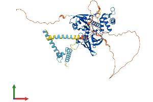 Protein Structure (PS) image for FERM Domain Containing 3 (FRMD3) (AA 1-597) protein (His tag) (ABIN7547736)