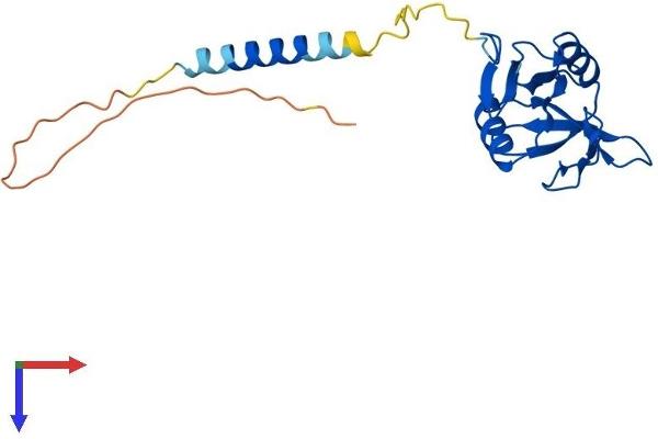 CD69 Protein (CD69) (AA 1-199) (His tag)