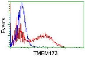 Image no. 2 for anti-Transmembrane Protein 173 (TMEM173) antibody (ABIN1501425) (STING/TMEM173 Antikörper)