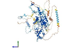 AlphaFold protein structure predicition of Human Recombinant GNL2 Protein, UniprotID Q13823