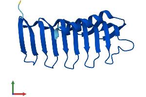 AlphaFold protein structure predicition of Mouse Recombinant Morn4 Protein, UniprotID Q6PGF2
