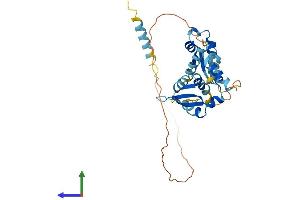 Protein Structure (PS) image for Melanoma Antigen Family B, 2 (MAGEB2) (AA 1-319) protein (His tag) (ABIN7549313)