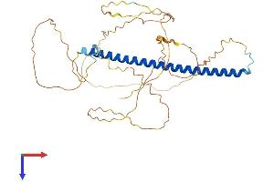 c-FOS Protein (AA 1-380) (His tag)