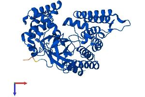 SMYD2A Protein (AA 1-433) (His tag)