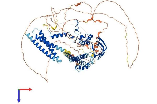 CNOT3 Protein (AA 1-751) (His tag)